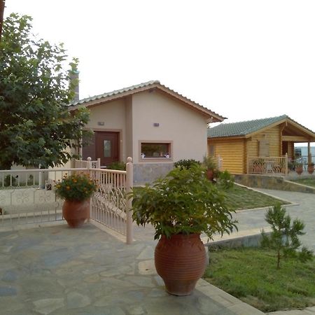 Hotel Aigli Φάρσαλα Εξωτερικό φωτογραφία